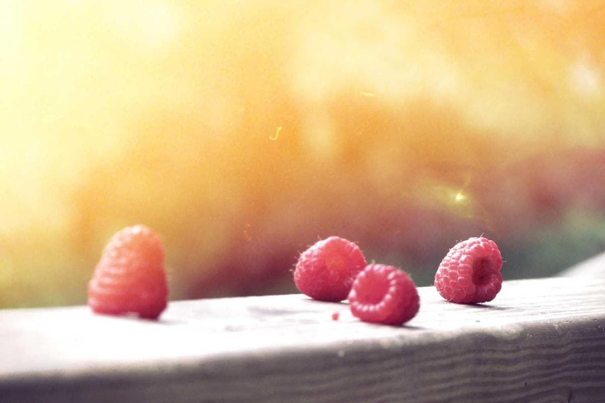 Cala del Mar - Main View