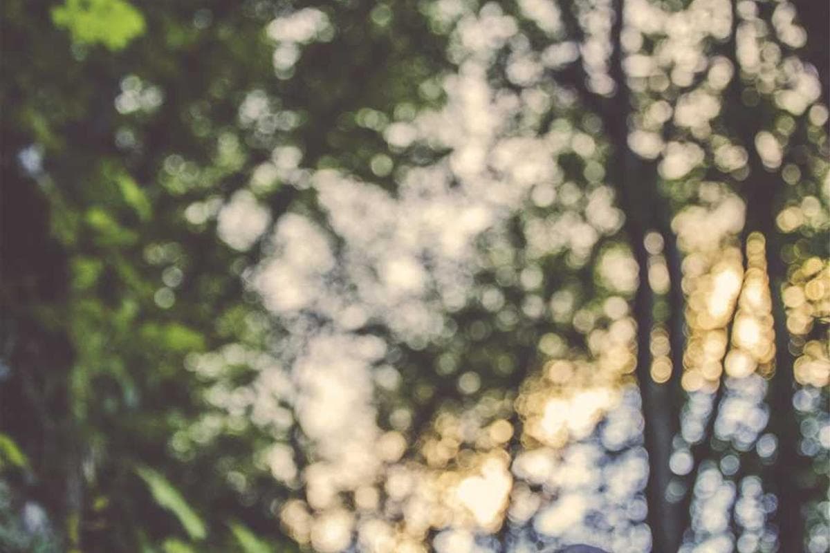 Clearpoint - Main View