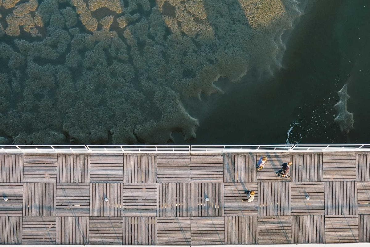 Perla 1 at the Bay - Main View